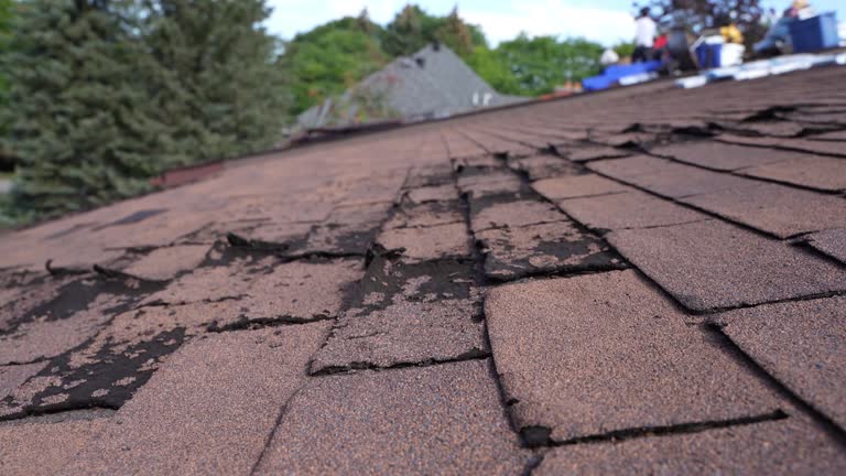 Best Asphalt Shingle Roofing  in Dentsville, SC