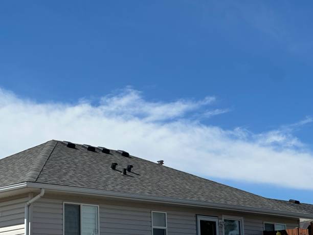 Best Metal Roofing Installation  in Dentsville, SC